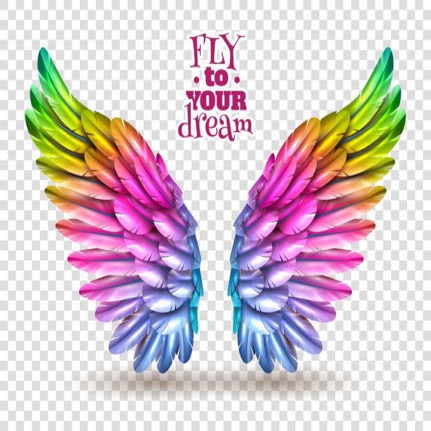 https://lopis.si/wp-content/uploads/2020/01/color-wing-transparent-set_1284-8933.jpg